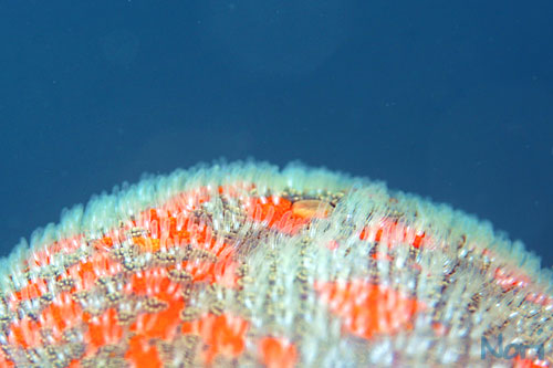 b0044726_20421228.jpg
