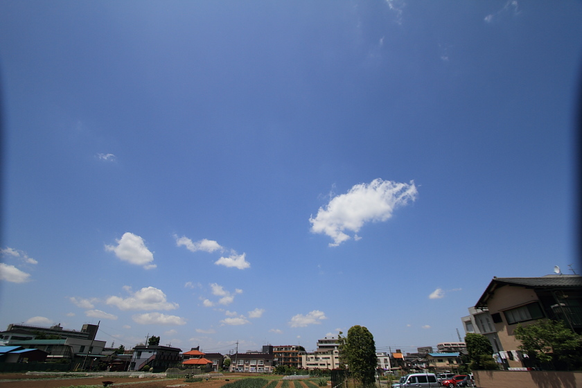 e0165326_18335494.jpg