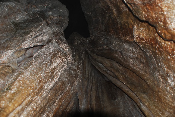 d0046930_1037315.jpg