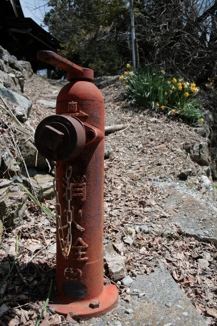 c0035931_2124066.jpg