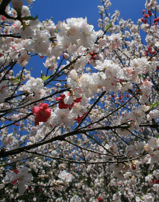 c0035931_2129429.jpg