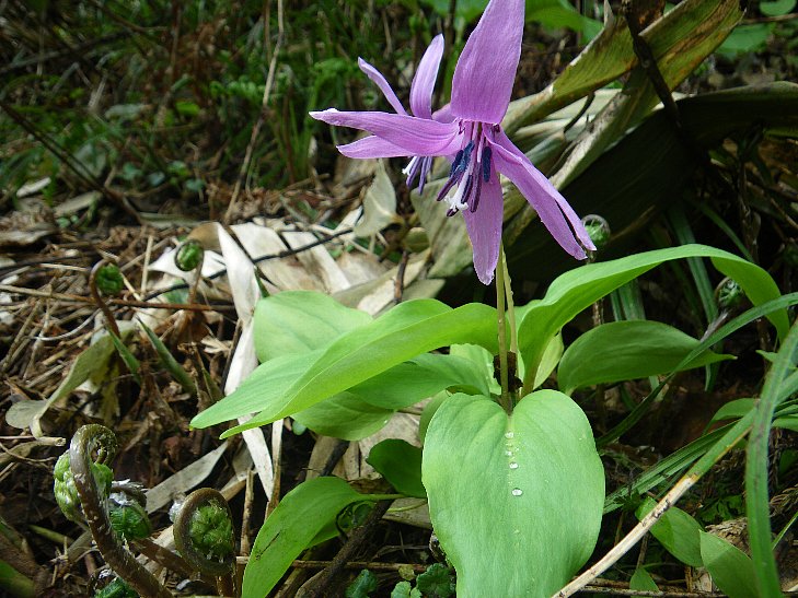 f0118332_21542652.jpg