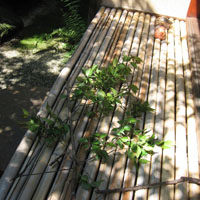 d0033734_195193.jpg