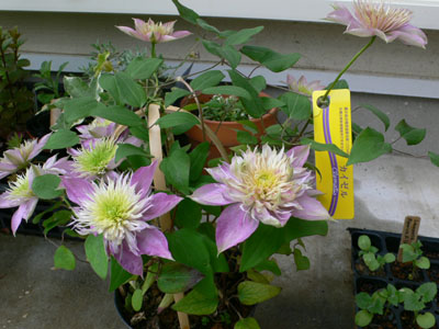 f0061334_2142488.jpg