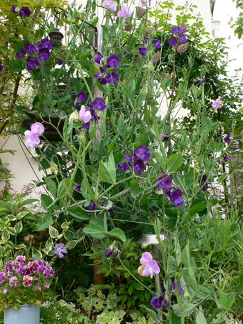 f0061334_21425474.jpg