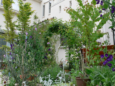 f0061334_21430100.jpg