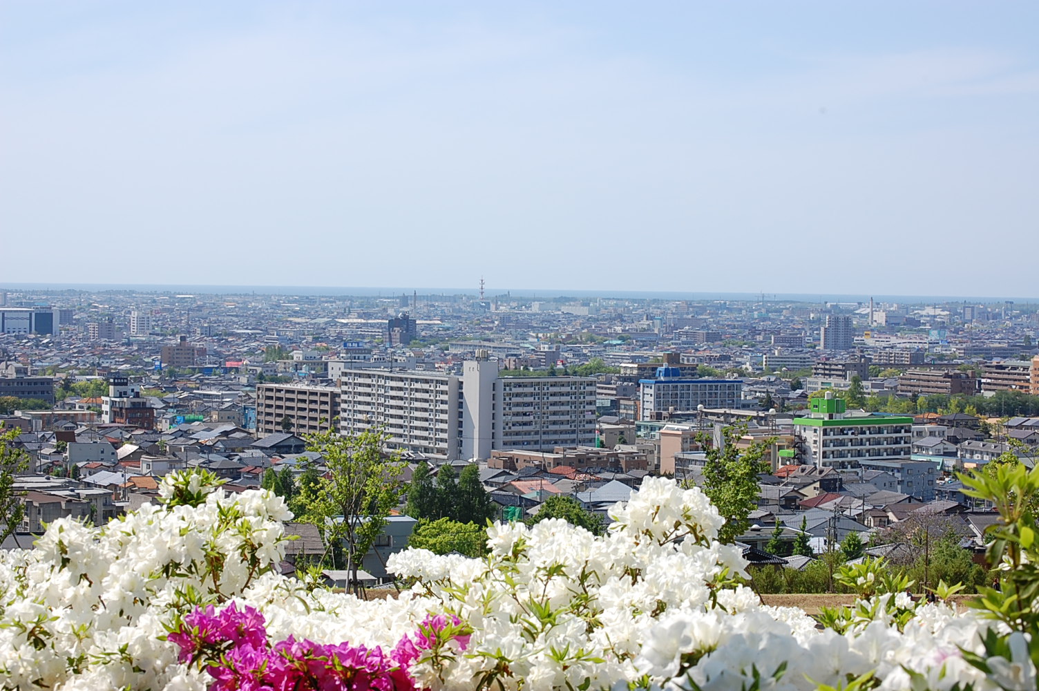 e0055138_1724469.jpg