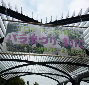e0121548_2001014.jpg