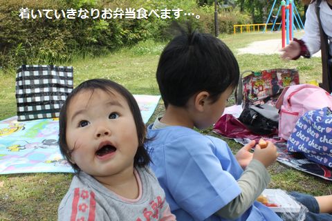 a0090451_046740.jpg