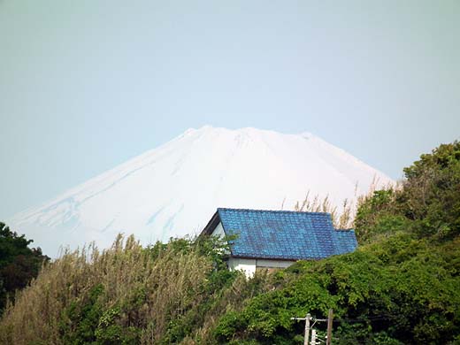 e0050753_928108.jpg