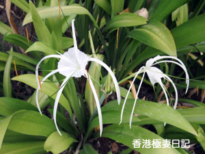 f0190653_9174510.jpg