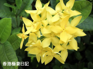 f0190653_9181033.jpg