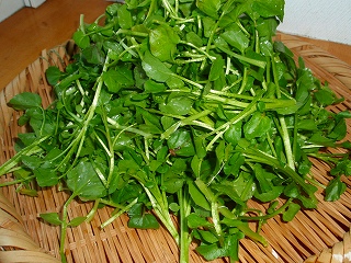 e0004756_211789.jpg