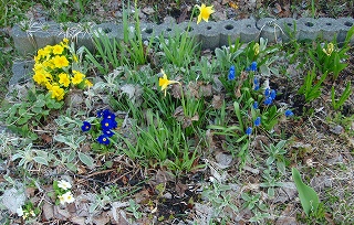 e0004756_2171542.jpg