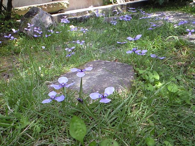 f0063356_19215874.jpg