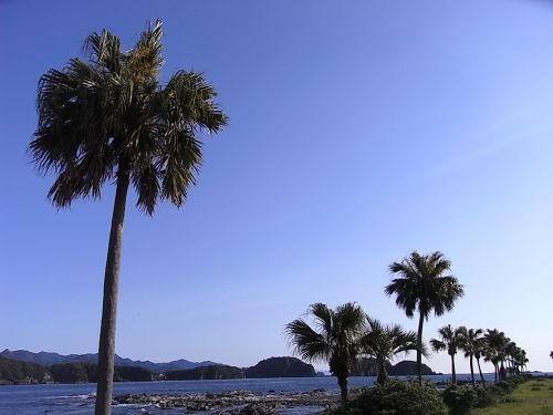 a0004359_2138183.jpg