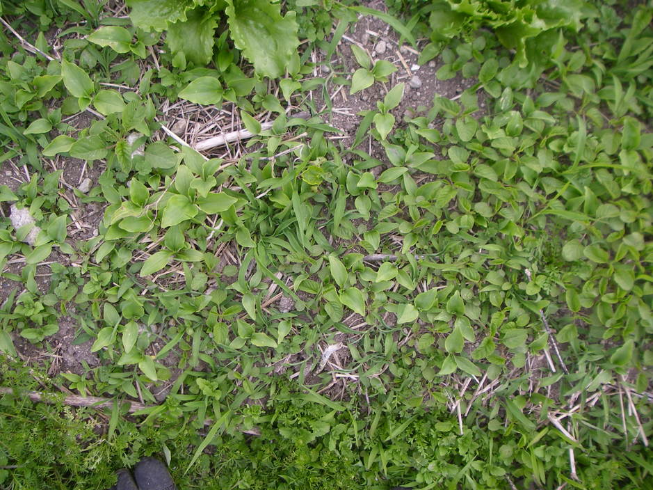 e0181260_21352016.jpg
