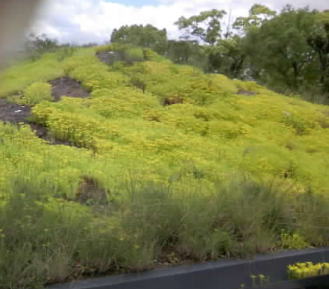 e0058166_2181578.jpg