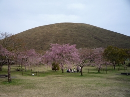 f0059671_0204889.jpg