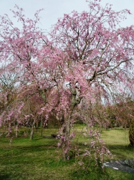 f0059671_0211014.jpg