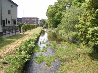 c0112172_2345410.jpg