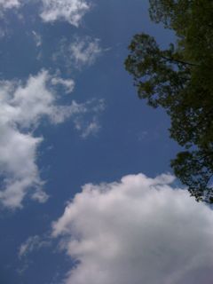 c0126976_14351574.jpg