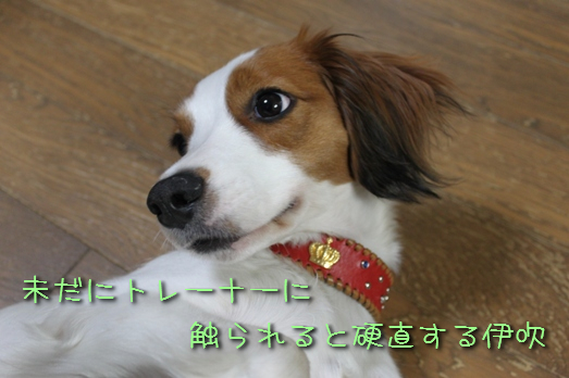 a0076980_0153380.jpg