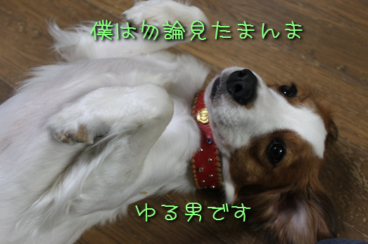 a0076980_0242855.jpg