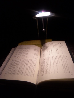 f0190781_1175780.jpg