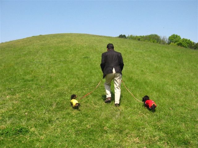 d0143284_1812835.jpg