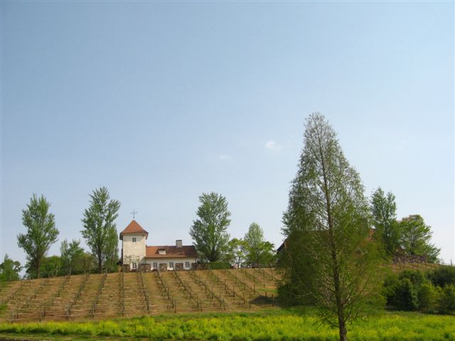 d0143284_18582827.jpg