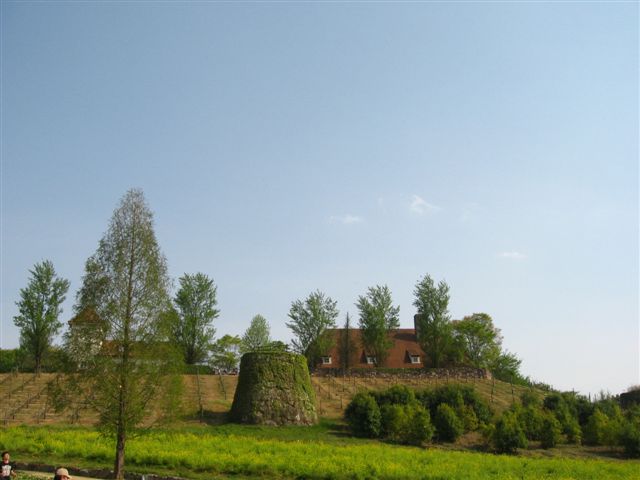 d0143284_1858688.jpg