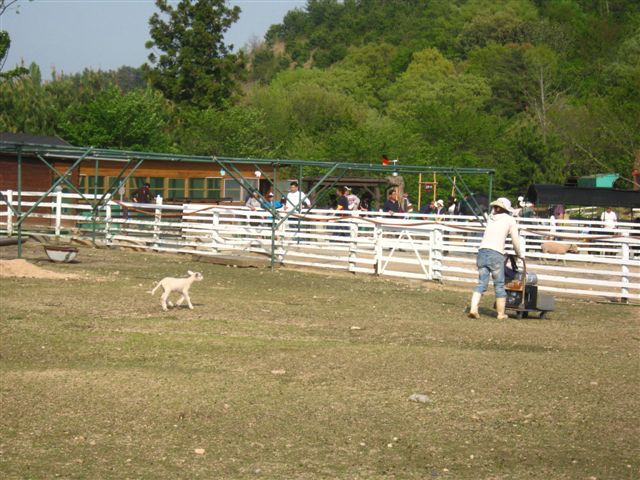 d0143284_19124954.jpg