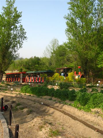 d0143284_19204233.jpg