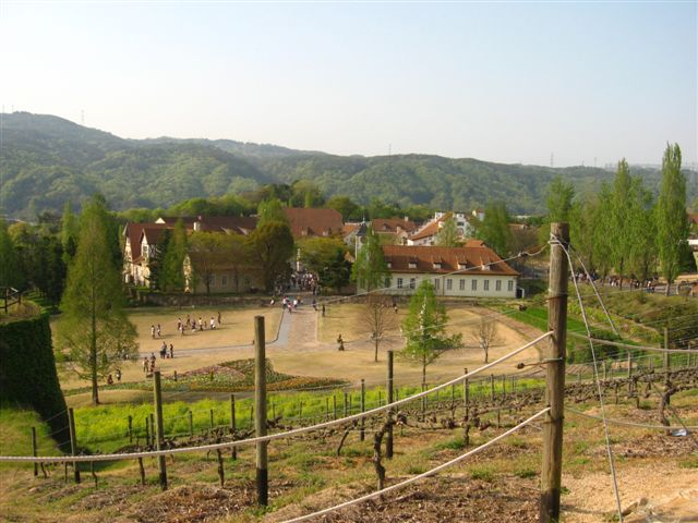 d0143284_19265137.jpg
