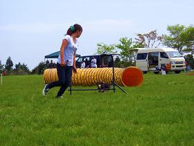 e0100584_22121763.jpg