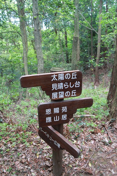 f0238184_1413050.jpg