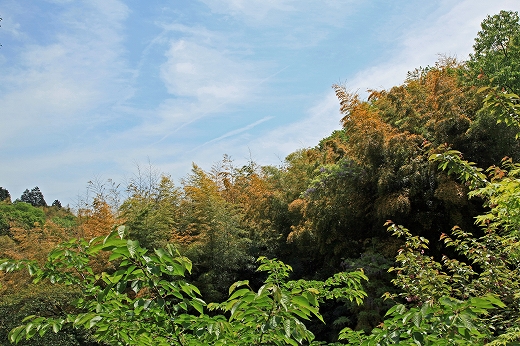 e0190885_17444171.jpg