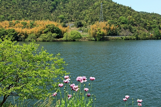 e0190885_17445834.jpg