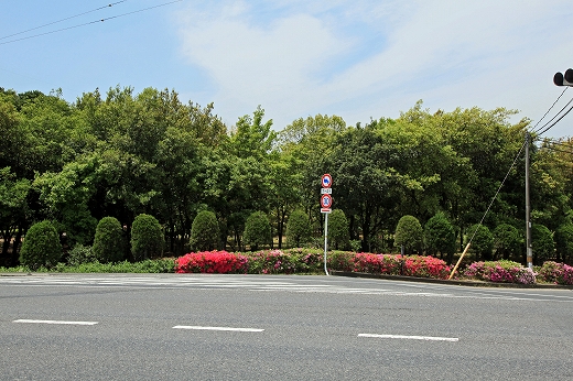 e0190885_17464828.jpg