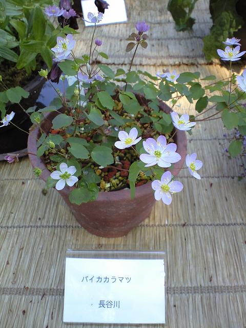 c0046587_22382927.jpg