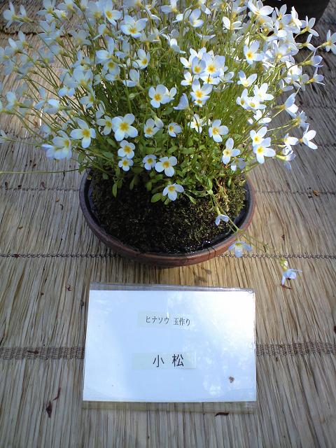 c0046587_22383581.jpg