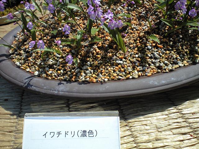 c0046587_22383983.jpg