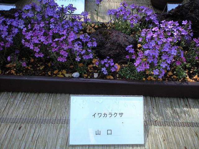 c0046587_22384787.jpg