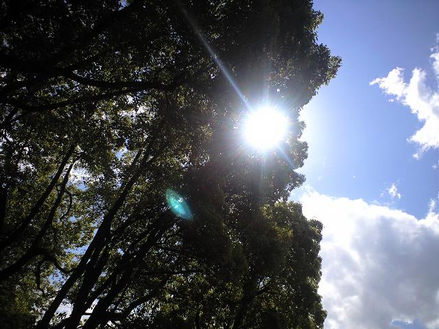c0046587_22404384.jpg