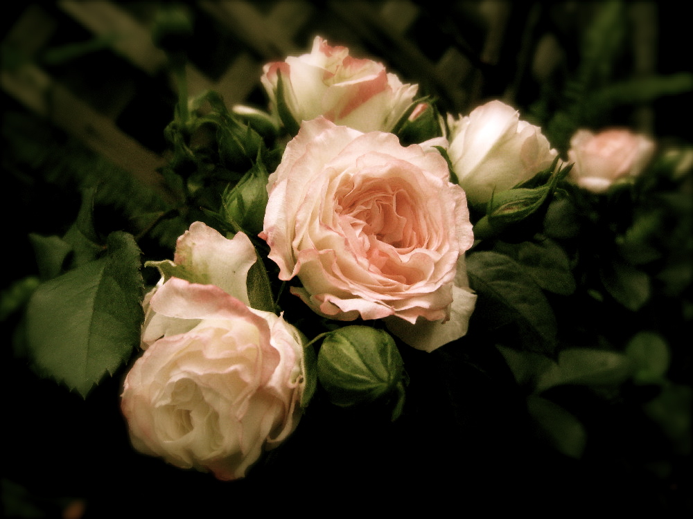 c0132387_0214851.jpg