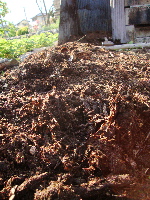 e0150087_2122427.jpg