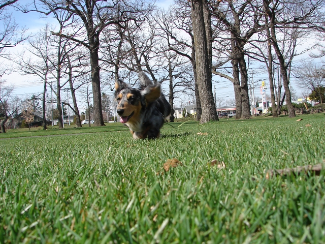 f0195891_2033050.jpg