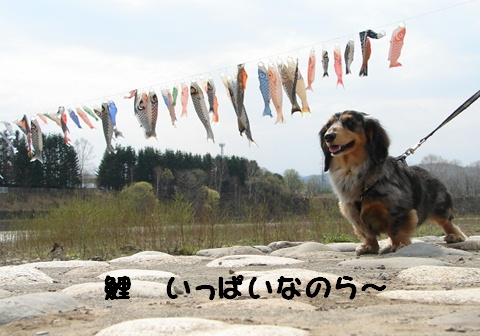 f0195891_20344040.jpg