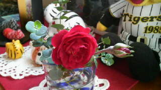 f0151094_10465328.jpg